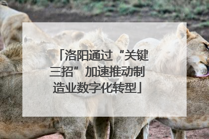 洛阳通过“关键三招”加速推动制造业数字化转型