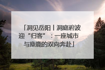 洞见岳阳丨洞庭碧波迎“归客”：一座城市与麋鹿的双向奔赴