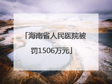 海南省人民医院被罚1506万元