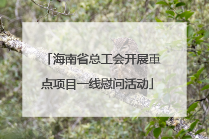 海南省总工会开展重点项目一线慰问活动
