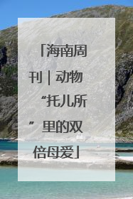 海南周刊｜动物“托儿所”里的双倍母爱