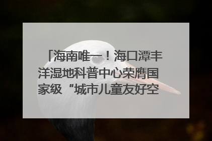 海南唯一！海口潭丰洋湿地科普中心荣膺国家级“城市儿童友好空间建设园区”称号