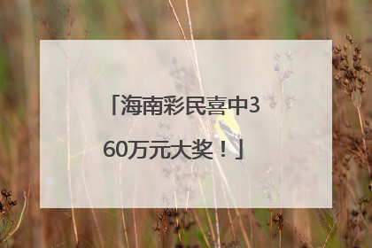 海南彩民喜中360万元大奖！