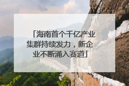 海南首个千亿产业集群持续发力，新企业不断涌入赛道