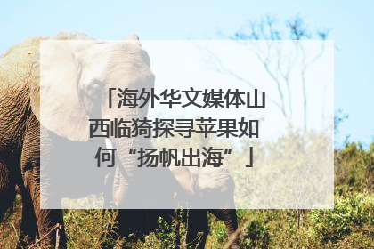 海外华文媒体山西临猗探寻苹果如何“扬帆出海”