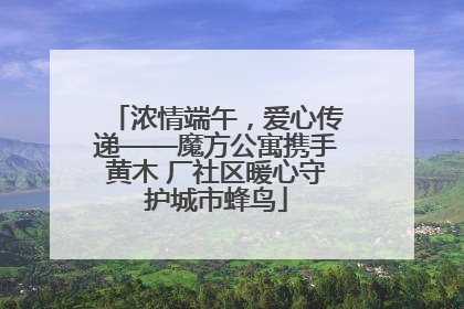 浓情端午，爱心传递——魔方公寓携手黄木 厂社区暖心守护城市蜂鸟