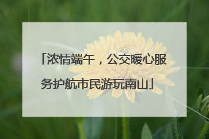 浓情端午，公交暖心服务护航市民游玩南山