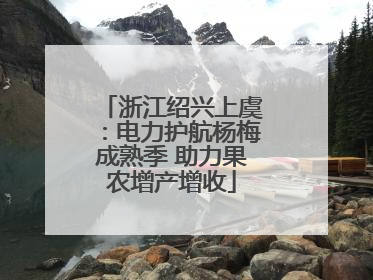 浙江绍兴上虞：电力护航杨梅成熟季 助力果农增产增收