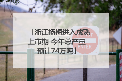 浙江杨梅进入成熟上市期 今年总产量预计74万吨