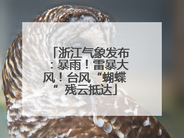 浙江气象发布：暴雨！雷暴大风！台风“蝴蝶”残云抵达