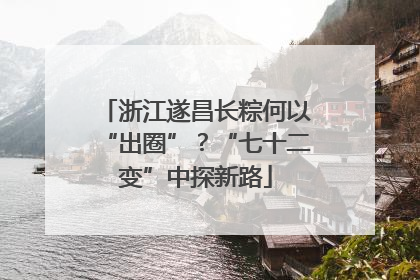 浙江遂昌长粽何以“出圈”？“七十二变”中探新路