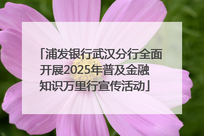浦发银行武汉分行全面开展2025年普及金融知识万里行宣传活动