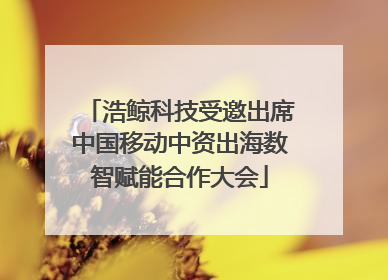 浩鲸科技受邀出席中国移动中资出海数智赋能合作大会