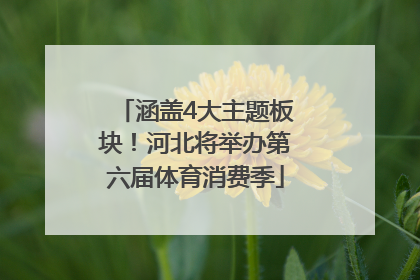 涵盖4大主题板块！河北将举办第六届体育消费季