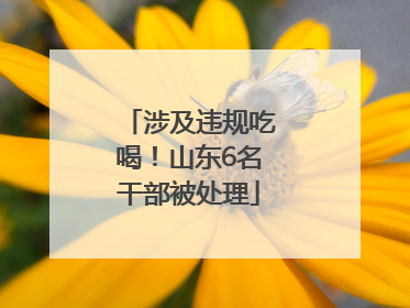涉及违规吃喝！山东6名干部被处理
