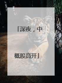 深夜，中概股高开