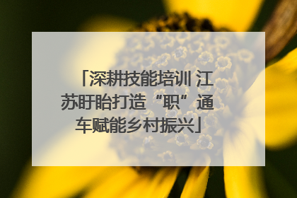 深耕技能培训 江苏盱眙打造“职”通车赋能乡村振兴