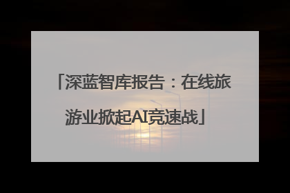 深蓝智库报告：在线旅游业掀起AI竞速战