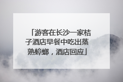 游客在长沙一家桔子酒店早餐中吃出蒸熟蟑螂，酒店回应