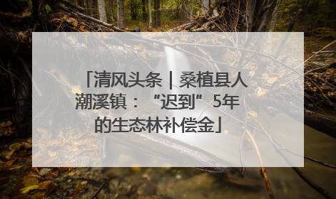 清风头条｜桑植县人潮溪镇：“迟到”5年的生态林补偿金