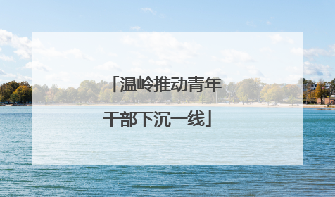 温岭推动青年干部下沉一线