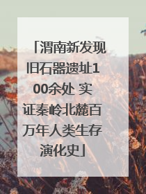 渭南新发现旧石器遗址100余处 实证秦岭北麓百万年人类生存演化史