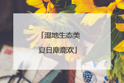 湿地生态美 夏日麋鹿欢
