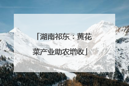 湖南祁东：黄花菜产业助农增收