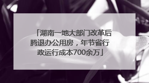 湖南一地大部门改革后腾退办公用房，年节省行政运行成本700余万