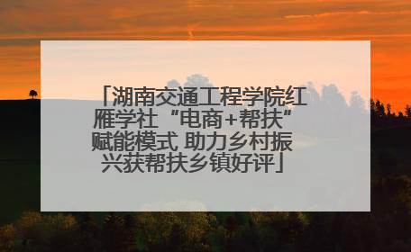 湖南交通工程学院红雁学社“电商+帮扶”赋能模式 助力乡村振兴获帮扶乡镇好评
