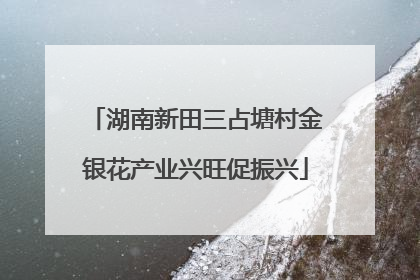 湖南新田三占塘村金银花产业兴旺促振兴