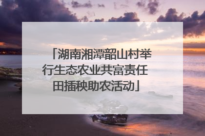 湖南湘潭韶山村举行生态农业共富责任田插秧助农活动