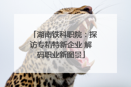 湖南铁科职院：探访专精特新企业 解码职业新图景