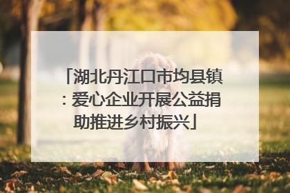 湖北丹江口市均县镇：爱心企业开展公益捐助推进乡村振兴