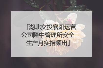 湖北交投襄阳运营公司隆中管理所安全生产月实招频出