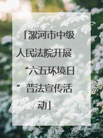 漯河市中级人民法院开展“六五环境日”普法宣传活动