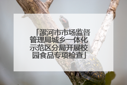 漯河市市场监督管理局城乡一体化示范区分局开展校园食品专项检查