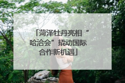 菏泽牡丹亮相“哈洽会”撬动国际合作新机遇