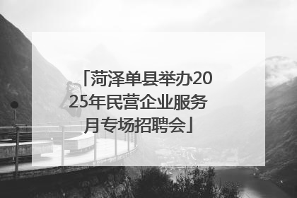 菏泽单县举办2025年民营企业服务月专场招聘会