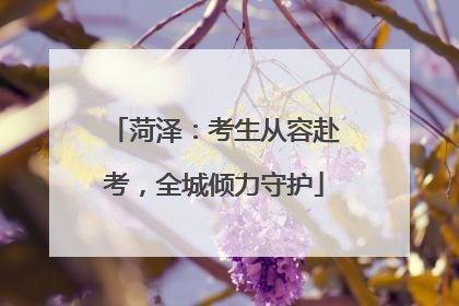 菏泽：考生从容赴考，全城倾力守护