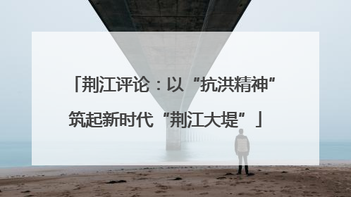 荆江评论：以“抗洪精神”筑起新时代“荆江大堤”