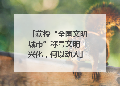 获授“全国文明城市”称号文明 兴化，何以动人