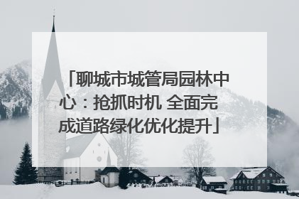 聊城市城管局园林中心：抢抓时机 全面完成道路绿化优化提升