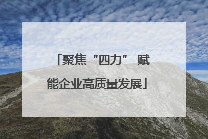 聚焦“四力” 赋能企业高质量发展