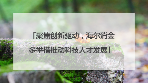 聚焦创新驱动，海尔消金多举措推动科技人才发展