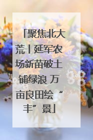 聚焦北大荒丨延军农场新苗破土铺绿浪 万亩良田绘“丰”景
