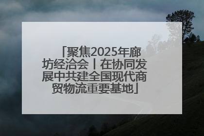 聚焦2025年廊坊经洽会丨在协同发展中共建全国现代商贸物流重要基地