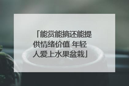 能赏能摘还能提供情绪价值 年轻人爱上水果盆栽