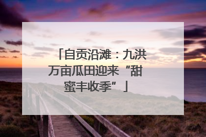 自贡沿滩：九洪万亩瓜田迎来“甜蜜丰收季”