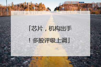 芯片，机构出手！多股评级上调